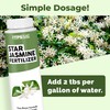 Star Jasmine Fertilizer for Star Jasmine Tree, Great for Any