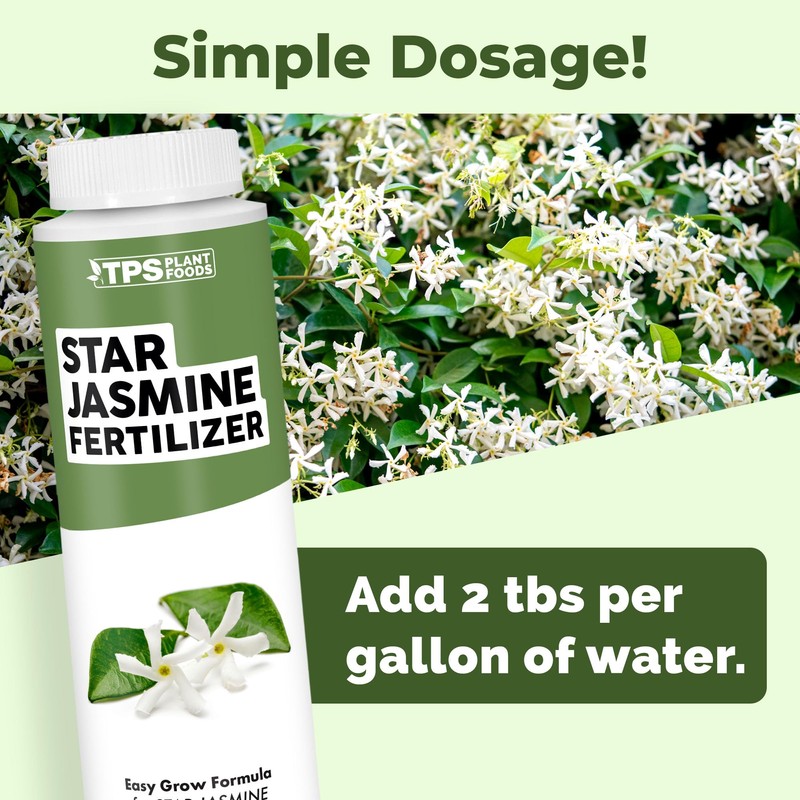 Star Jasmine Fertilizer for Star Jasmine Tree, Great for Any