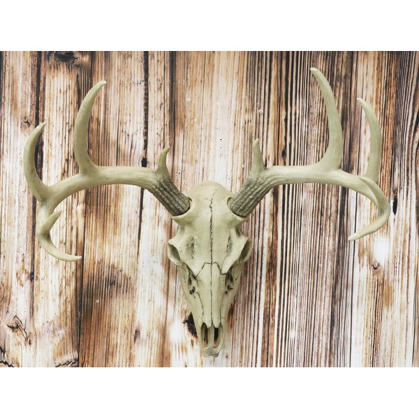 Ebros 18.5" L 10 Point Buck Head Wall Mount Resin Stag Deer Skull Antler Rack Bust Hunting Cabin or Lodge Decor Skull Antlers Home Accent