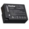 For Panasonic 2x Kastar Battery for Panasonic Lumix DMW-BLC12 DMC-FZ200