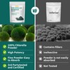 Chlorella Powder Natural with 16 oz - Chlorophyll Powder, Supports