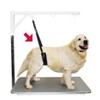 Show Tech Groomer Strap for Small Dogs
