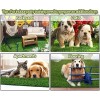 SSRIVER Dog Grass Pad,50.1x30.5I