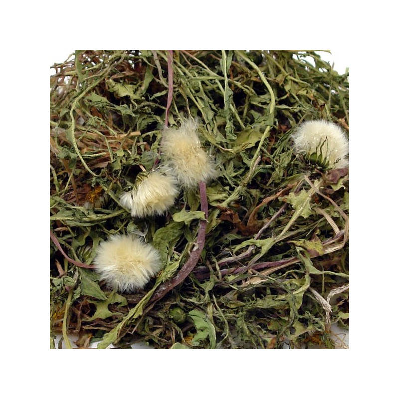 민들레 민들레꽃 포공영차 포공영 200g 국산 입욕제 Dandelion Dandelion Flower
