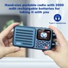 Choyong A8W Portable Smart Internet Radio Receiver WIFI/4G Speaker with