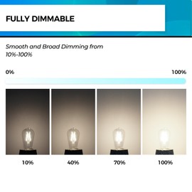 Hizashi LED Edison Bulbs 40 Watt Dimmable, 4000K Cool White E26 LED Bulb, ST58/ST19 Vintage Light Bulbs 95+CRI 4W 450lm, Clear Glass, UL Listed, Pack of 24