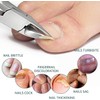 Cortaúñas Biselado, 2 PCS Manicura de pico de águila Nail