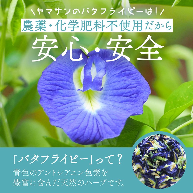 Yamasan Butterfly Pea Powder (1.1 oz (30 g) (Natural Herbs