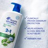 Head & Shoulders 2 in 1 Dandruff Shampoo and Conditioner,