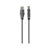 Belkin Premium Printer Cables Cable6 Ft4 Pin USB Type B