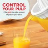 Dash Citrus Juicer Extractor: Compact Juicer for Healthy Juice, Oranges,