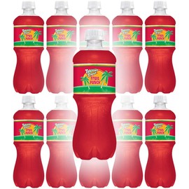 Tahitian Treat, Fruit Punch Soda, 20 Fl Oz Bottle (Pack of 12, Total of 240 Fl Oz)