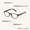 Ijipiji Reading Glass +2.5#B-TORTOISE