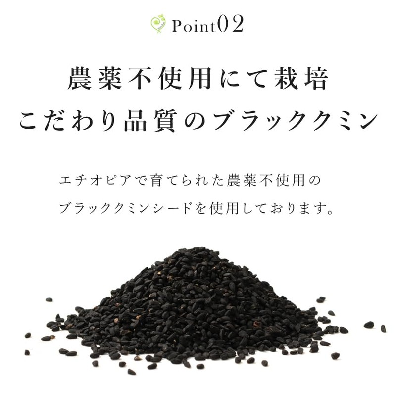 San'ta Rosa (サンタローサ) ブラッククミン スパイス 100g ブラッククミンシード 無農薬 国内加工
