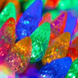 Wintergreen Lighting 70 C6 LED Multicolor String Lights Indoor-Outdoor Christmas String Lights, 24 Ft, Outdoor Tree Lights Party Bedroom Dorm Lights LED Light String