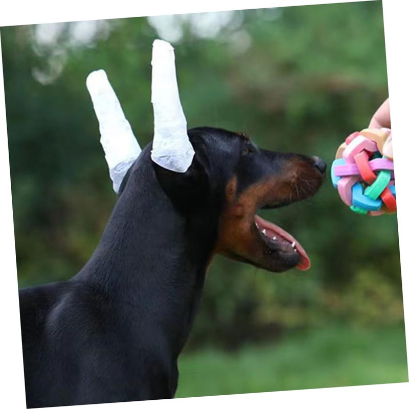FONDOTIN 1 Set Ear Erector Tool Pet Kit Dog Ear