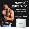 SAURUS(サウルス)　HMB　クレアチン　L-カルニチン　配合　マラソン トライアスロン　トレラン　ロードバイク　国産