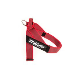 Julius-K9 Colour & Grey Webbing Harness, 0