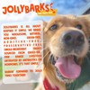 Jolly Barks Half Pig Ears for Dogs 6-Inch Premium Natural