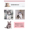 YFFSFDC Cat Collars, Set of 3 with Bell, Puppy Collars,