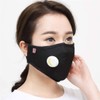 2Pcs Washable Reusable PM2.5 Anti Air Pollution Face Mask with