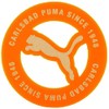 Acrylic Marker/Puma Black/05441904, PUMA Black