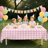 FuenteOrilla 4 Pcs Pink and White Checkered Tablecloths Waterproof Rectangle