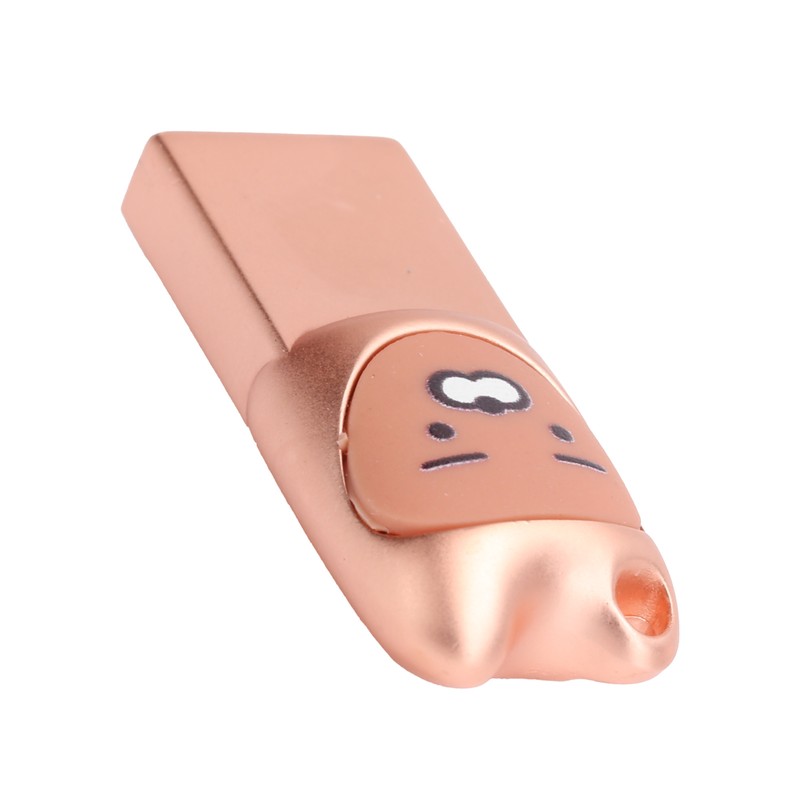 U Disk Portable Data Reading Transmission Device Card Reader Cartoon