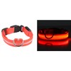 A4DOG LED Dog Collar, USB Rechargeable Light Up Collar, Night