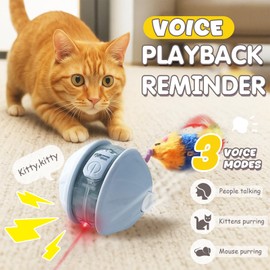 YoPoll Interactive Laser Cat Toys for Indoor Cats, Rechargeable Electric Cat Ball with Replaceable Feather Toy, Motorized Rolling Cat Toys (Blue)
