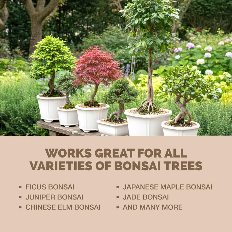 Bonsai Fertilizer for All Bonsai Trees, Great for Root Soaks,