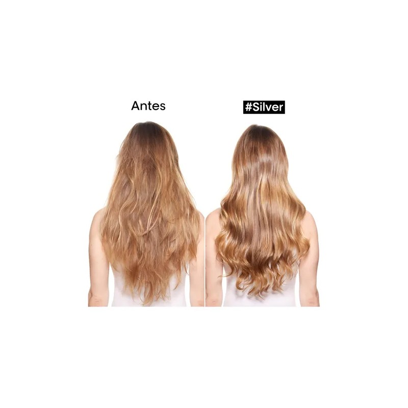Shampoo Cuidado Canas Loral Professionnel Silver 300ml