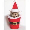 Sellers Publishing RSVP Small Sleeping Kitten in Cup Decorated as