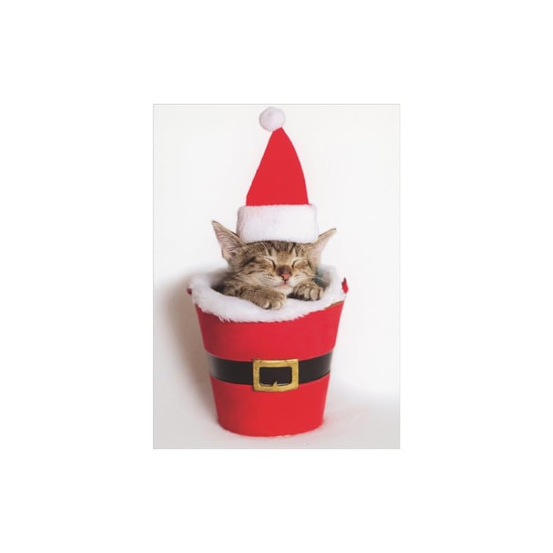 Sellers Publishing RSVP Small Sleeping Kitten in Cup Decorated as