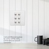 6 Port Cat 6 Ethernet Wall Plate Removable Female to