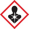 Accuform LZH629PS2 GHS Pictogram Label, "Health Hazard", Adhesive Coated Paper,