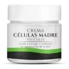 Piel Nueva Crema Células Madre Vegetales Nutre,repara,desmancha Tu Piel