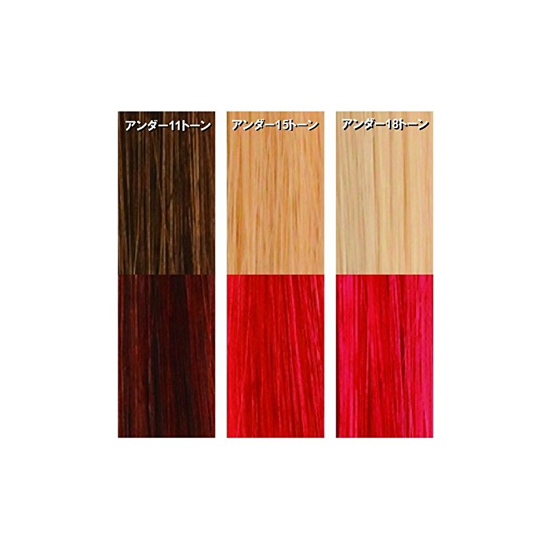 Wyeth Park Professional Y.S.PARK Hair Paint Cream Red 200g