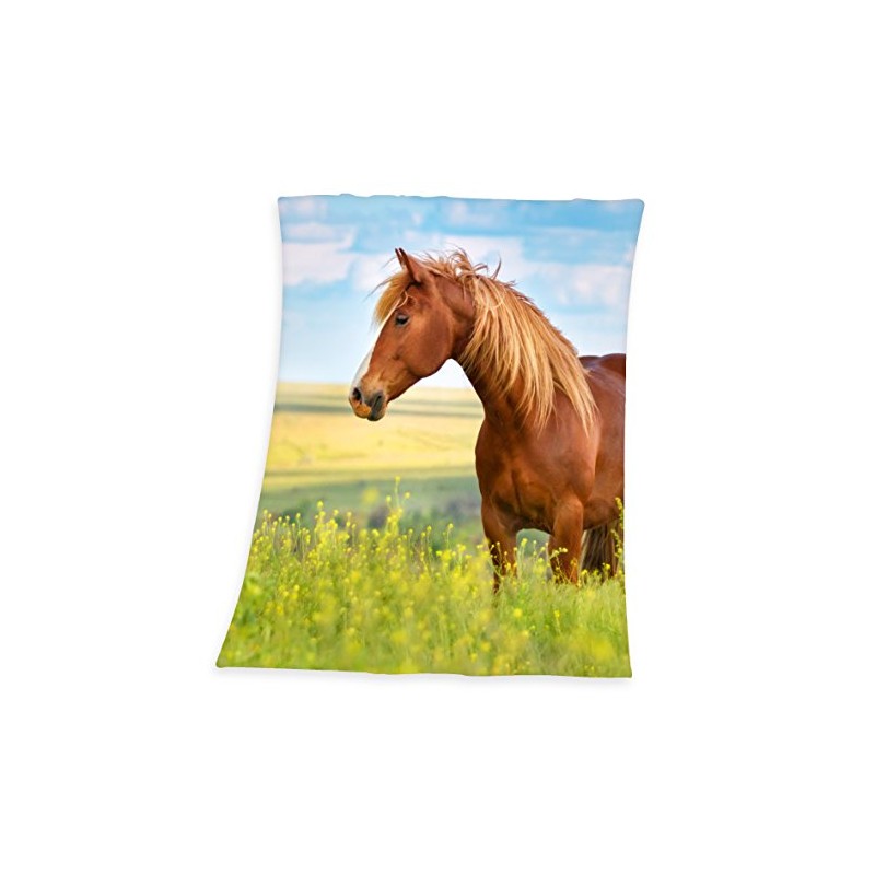 Herding YOUNG COLLECTION Fleece Blanket, Horse Motif, 130 x 160