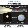 Ohm Electric CT3 LHA-CT3Z-K2 08-1008 OHM Waterproof LED Zoom Light