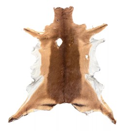Cowhides USA Impala Skin - Real African Impala Antelope Hide 2nd Grade Skin