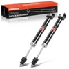 A-Premium Rear Shock Absorber Compatible with Nissan Maxima 2009-2014/2016-2018, 2-PC