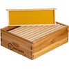 10 Frame Assembled Medium Super Bee Boxes and Frames ＆
