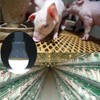 Solar Powered Lamp Portable Led Bulb Lights Solar Energy Panel