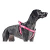 Ancol Nylon Padded Reflective Harness, X-Small