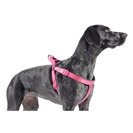Ancol Nylon Padded Reflective Harness, X-Small