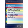DNA Replication Control in Microbial Cell Factories
