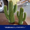Dulton Object Cactus, Height 10.8 x Width 6.3 inches (275