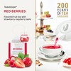 Ronnefeldt Red Berries – 6 Teavelope Packs of 25 Individually