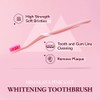 HIMALAYA PINKSALT Natural Toothbrush - Medium Toothbrushes for Adults, Plaque